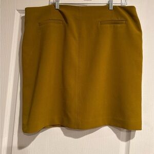 Ann Taylor Plus Size Skirt 18